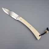 Grimpeur Suminagashi & Phacochère