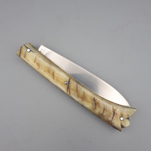 Fontainebleau Corne de bélier