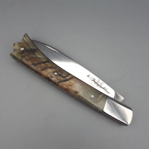 Fontainebleau Mitre & corne de Bélier