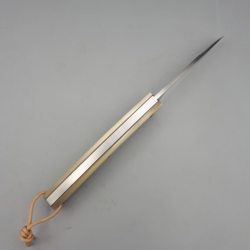 Grimpeur Corne de zébu