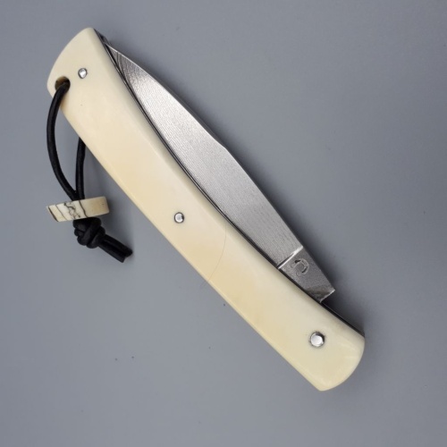 Grimpeur Suminagashi & Phacochère