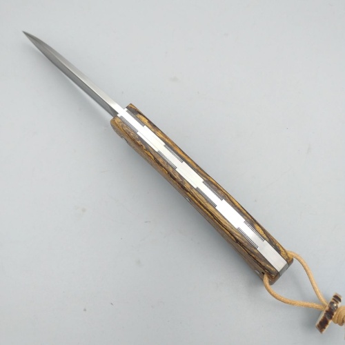 ge009c