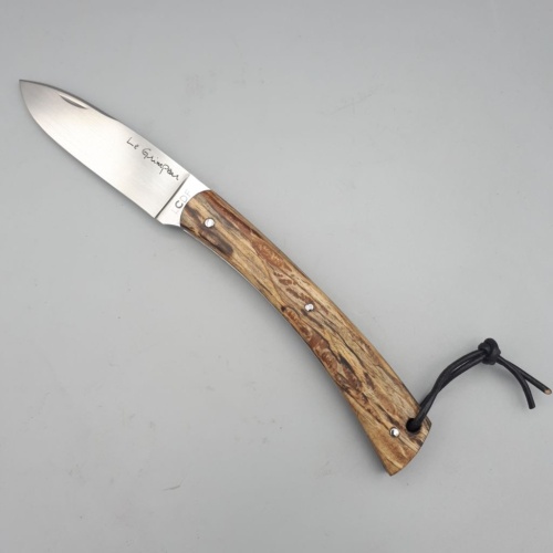 Grimpeur Chêne Vert échauffé