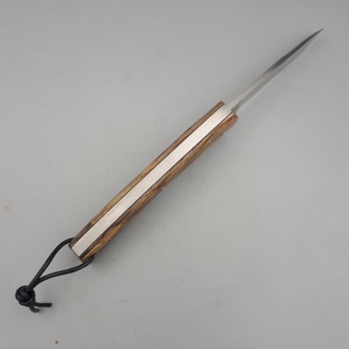 Grimpeur Chêne Vert échauffé