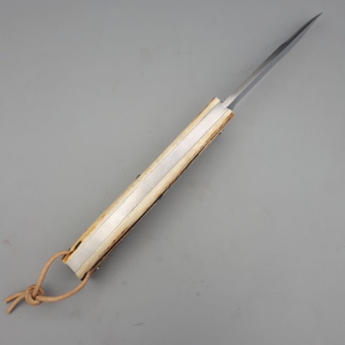 Grimpeur Bois de Cerf