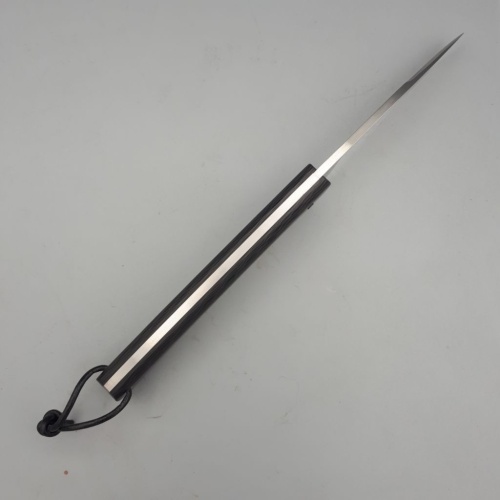 Grimpeur Fibre de Carbone