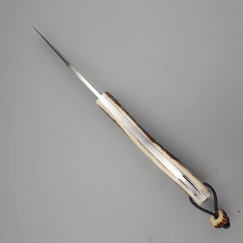 Illicite 14C28N & Bois de cerf