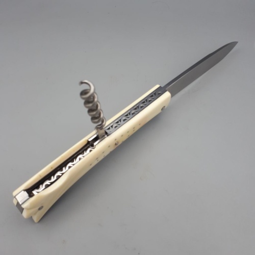 Fontainebleau tire-bouchon Phacochère 