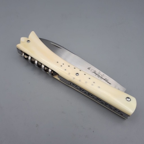 Fontainebleau tire-bouchon Phacochère 